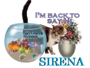 SIRENA IS BACK TO SAY HI