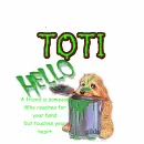A FRIEND.....TOTI