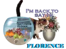 FLORENCE IS BACK TO SAY HI