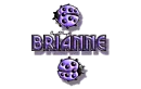 purple traveling ladybugs brianne