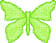 green butterfly