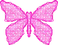 pink butterfly