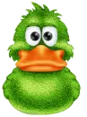 Duck.