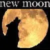 A wolf and the moon
