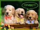 Hello!