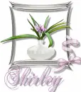 Shirley