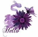 Hello