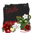 Hello