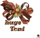 Hugs Toni