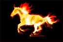 Fire horse