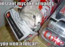 you won a kitty