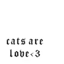 cats are love<3