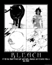 Bleach demotivational
