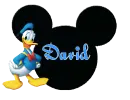 MICKEY HEAD WITH DAVID