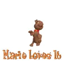 Dog  Dancing