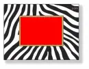 Aira loves it-zebra