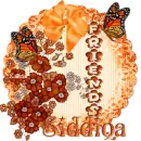 Friends ,,,Siddiqa