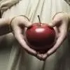 Forbidden fruit