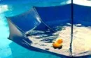 RUbbER dUCk.