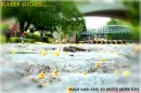 RUbbER dUCk.