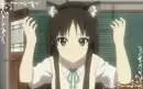 Mio cat