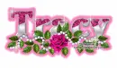 Pink rose-Tracy