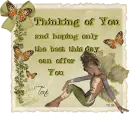Butterfly Fairy Toni