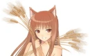 Spice&Wolf