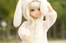 Rabbit doll