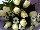 rosas
