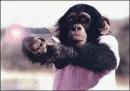 Police Academy Chimp