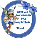 Blue Fairy Toni