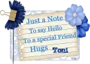 Blue Hello Toni