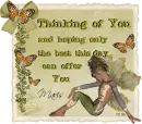 Forest Butterfly Fairy Mavis