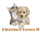 Dog and cat