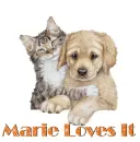Dog and cat