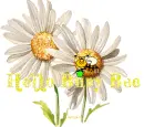 Hello Busy Bee