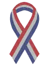 Support Our Troops 