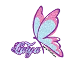 Caiya Side Butterfly