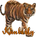 TIGER WITH THE NAME KIMBERLY