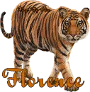 TIGER WITH THE NAME FLORENCE