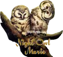 NIGHT OWL WITH THE NAME MARIE