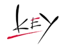 key logo