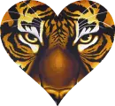 TIGER HEART