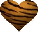 TIGER HEART