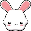 cute bunny