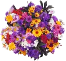 Flowers.