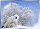 Bears.