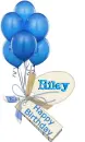 Happy Birthday Riley