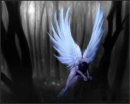 Black-and-White with Blue Angel